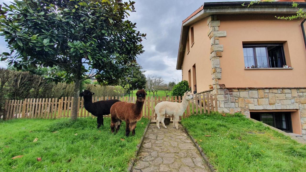 Hotel 3 Alpacas La Campa المظهر الخارجي الصورة